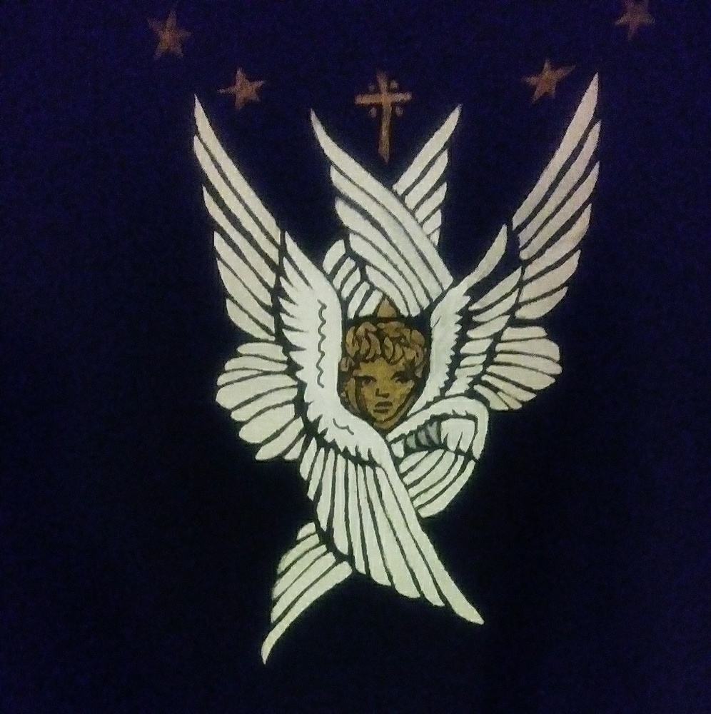 Pacaso T Shirt by V Watson
